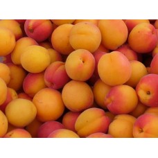 Apricots