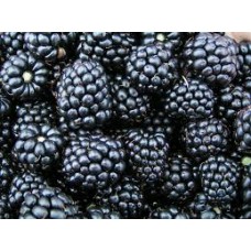 Blackberries
