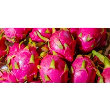 Dragon Fruit