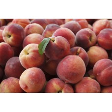 Peaches
