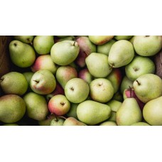 Pears