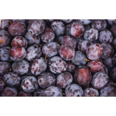 Plums