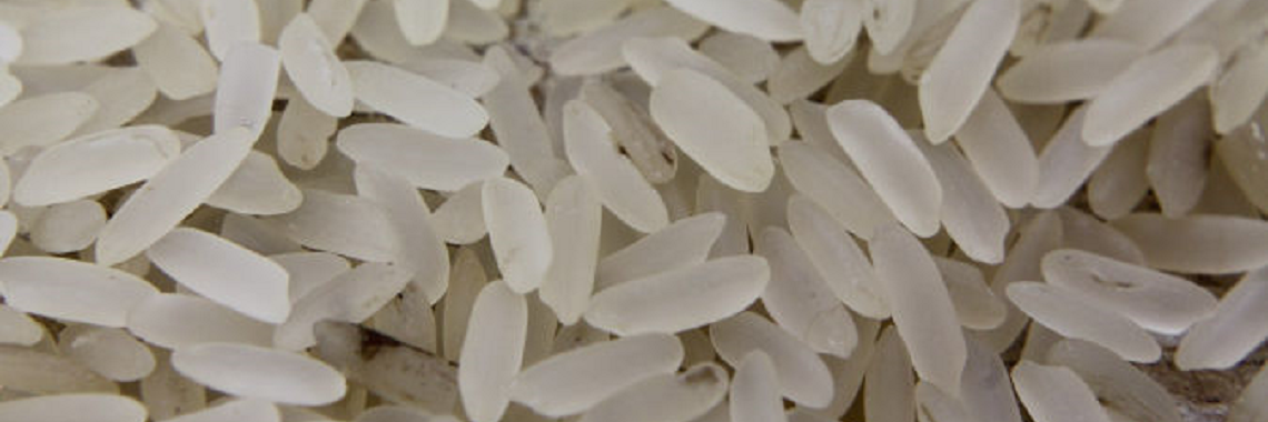 Rice