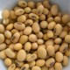 Soya Beans