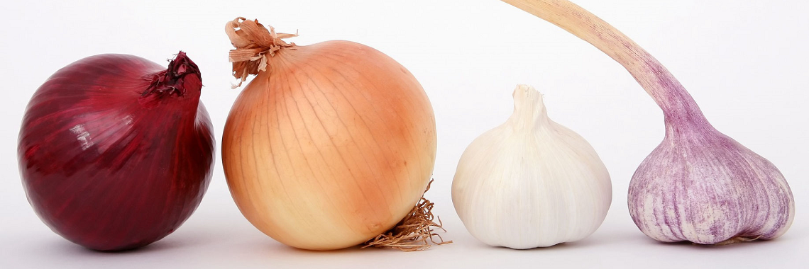 Garlic