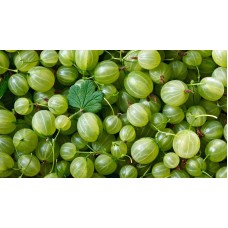 Gooseberries