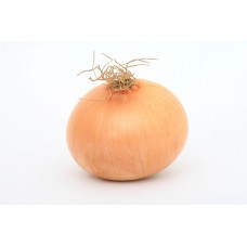Onion