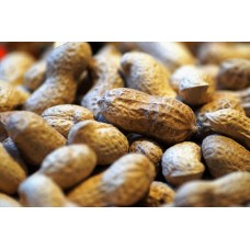 Groundnuts