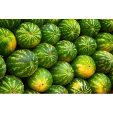Watermelon
